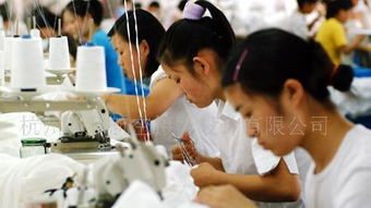 全程影像記錄與制作服務 為您呈現(xiàn)生產(chǎn)基地的每個精彩瞬間